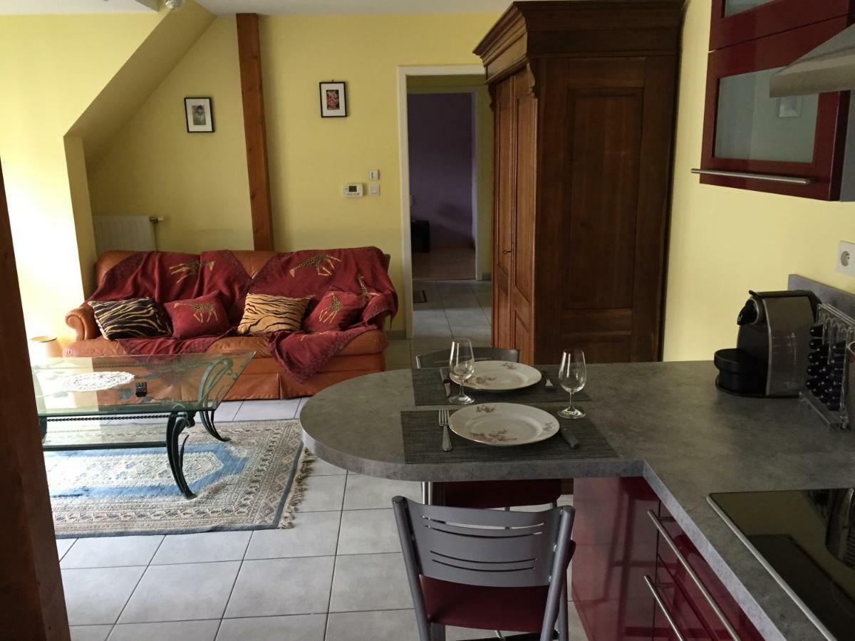 Appartamento Les Menetriers Ribeauvillé Esterno foto