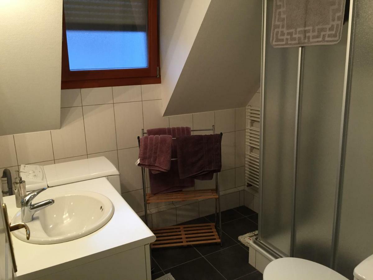 Appartamento Les Menetriers Ribeauvillé Esterno foto